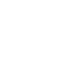 File:Twitter Symbol White.png