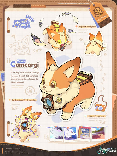 File:Camcorgi Anidex Introduction.png