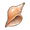 Ancient Horn of the Sea