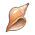 Ancient Horn of the Sea