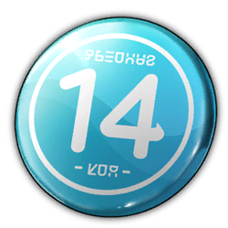 Item Badge 14.png