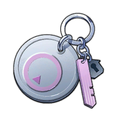Item Electronic Locker Key.png