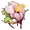 Forget-Me-Not